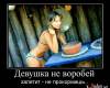 <b>Название: </b>1270810317_demotivatori_40, <b>Добавил:<b> -=maggot=-<br>Размеры: 600x522, 83.1 Кб